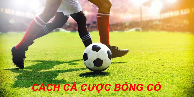 Cách cá cược bóng cỏ hiệu quả cao
