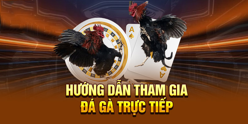 Cách đăng ký tham gia đá gà trực tiếp