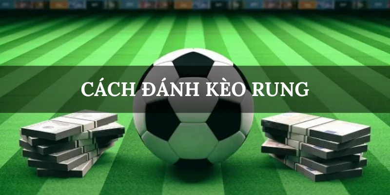 Mẹo cá cược kèo rung tại Vin777