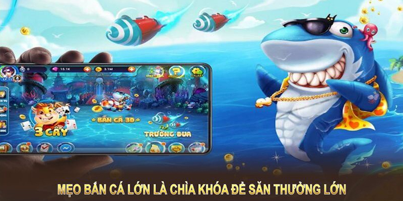 Lưu ý khi trải nghiệm bắn cá online