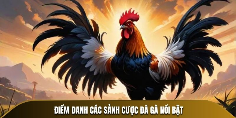 Giải trí đá gà tại nhà cái Vin777 được nhận thưởng lớn