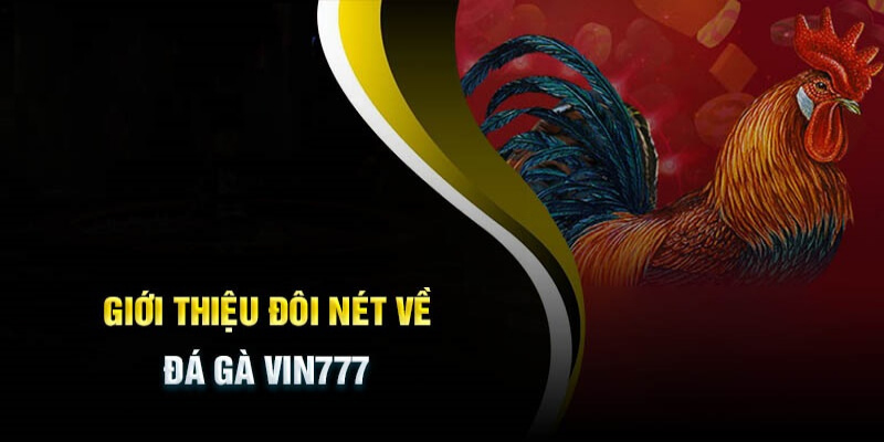 Sơ bộ về sảnh game đá gà Vin777 thế nào?