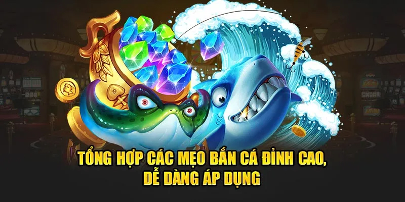 Thông tin cần nắm bắt về bán cá online