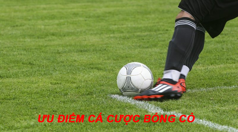 Vì sao nên trải nghiệm cá cược bóng cỏ