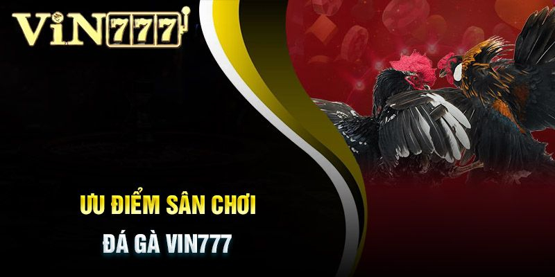 Trải nghiệm đá gà tại Vin777 với đa dạng hình thức