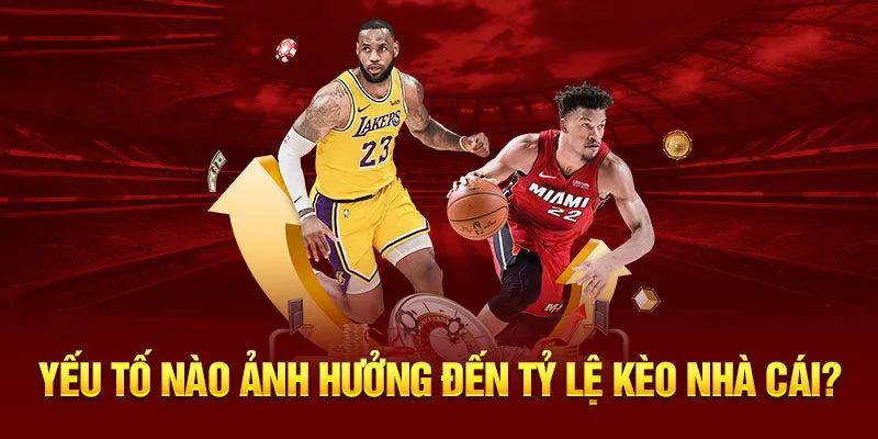 Cách thức đọc tỷ lệ kèo nhà cái dễ dàng